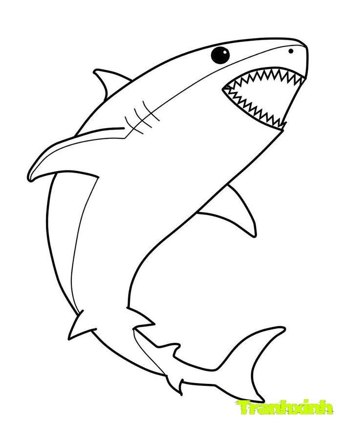 tranh tô màu cá mập 4