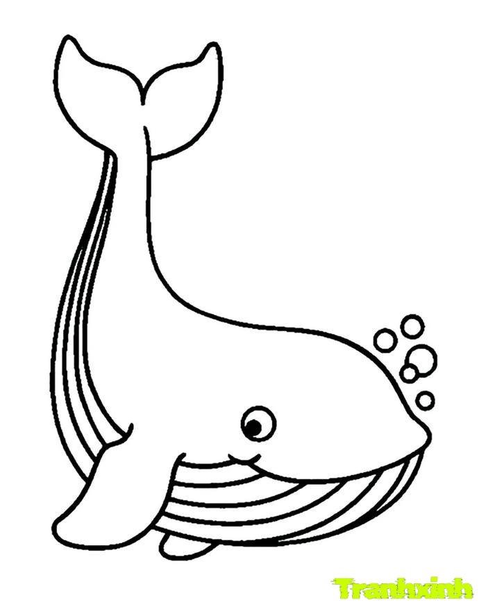 tranh tô màu cá mập 6