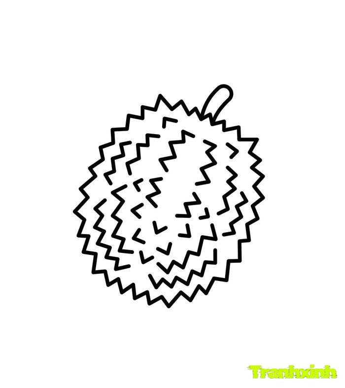 tranh tô màu các loại quả 11