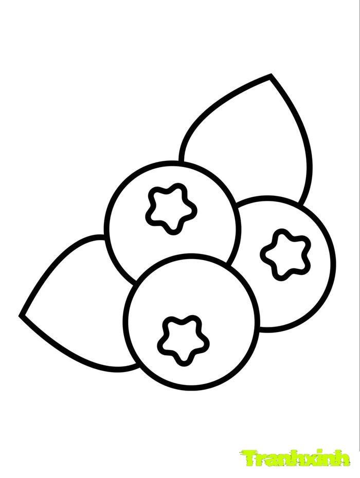 tranh tô màu các loại quả 25