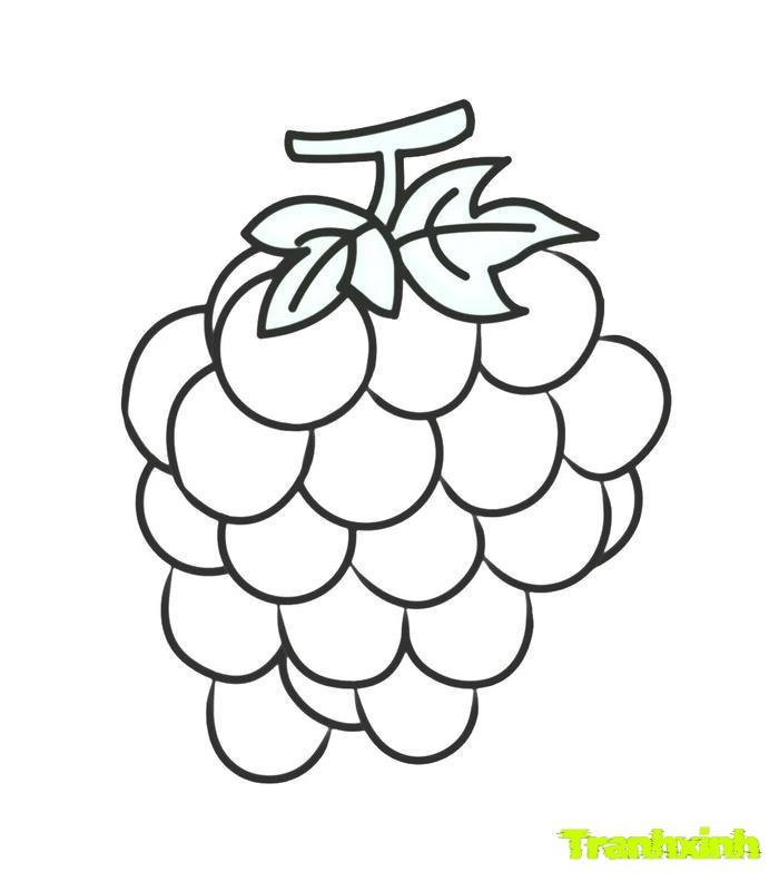 tranh tô màu các loại quả 29