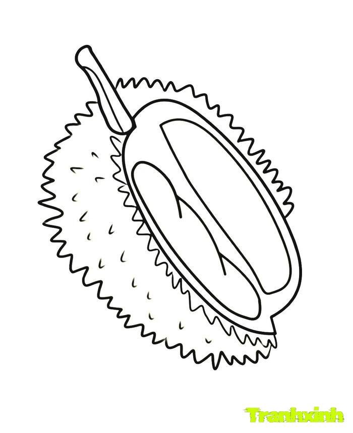 tranh tô màu các loại quả 30