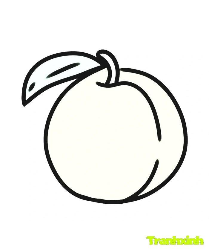 tranh tô màu các loại quả 34