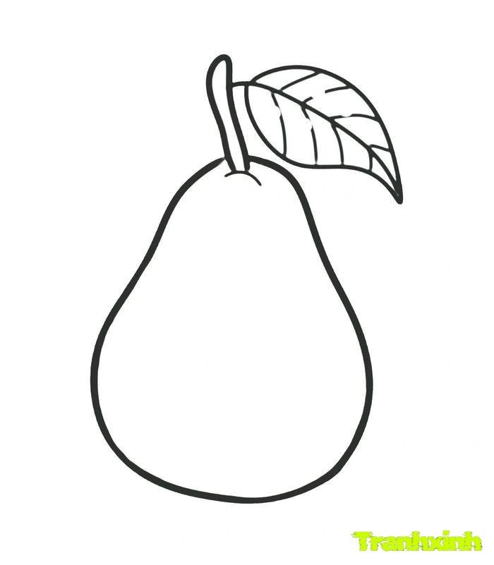 tranh tô màu các loại quả 35