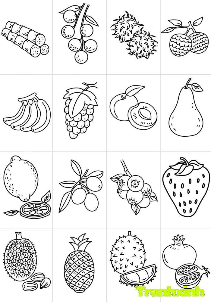 tranh tô màu các loại quả 38