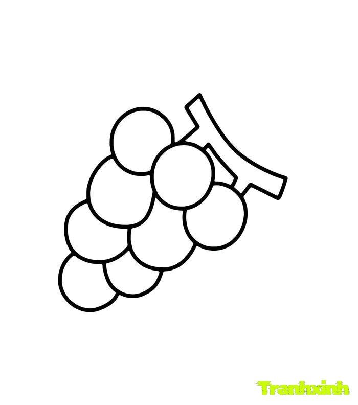 tranh tô màu các loại quả 4