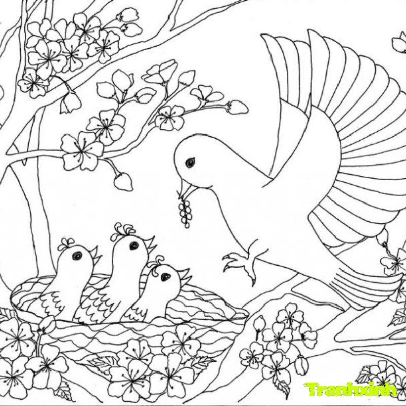 tranh tô màu các mùa trong năm mẫu giáo