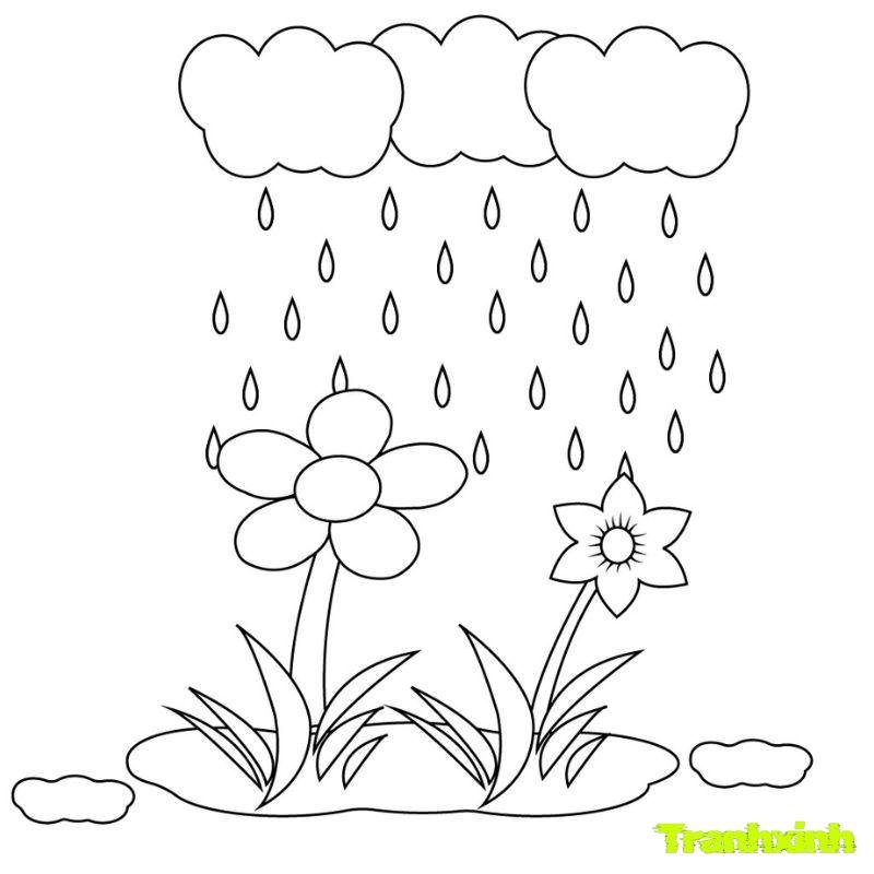 tranh tô màu các mùa trong năm mới