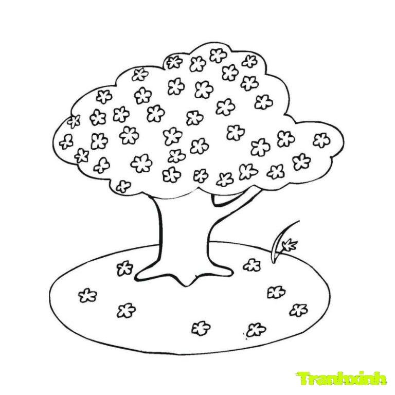 Trọn bộ 296+ mẫu tranh tô màu các mùa trong năm cực đẹp