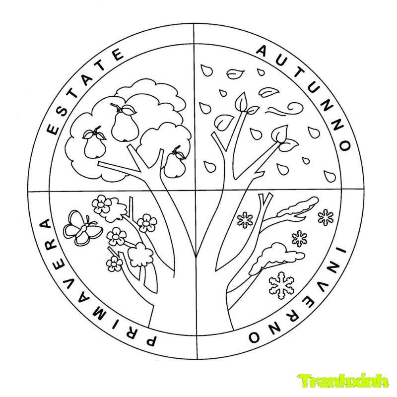 tranh tô màu các mùa trong năm ở việt nam