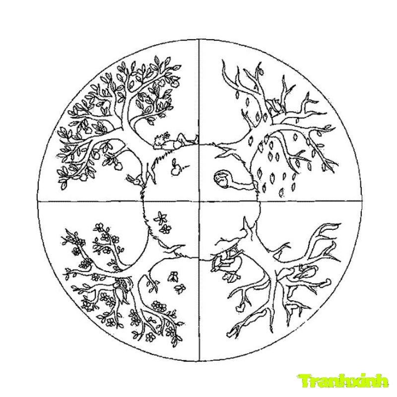 tranh tô màu các mùa trong năm trung quốc