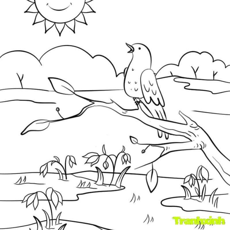 tranh tô màu các mùa trong năm trưởng thành