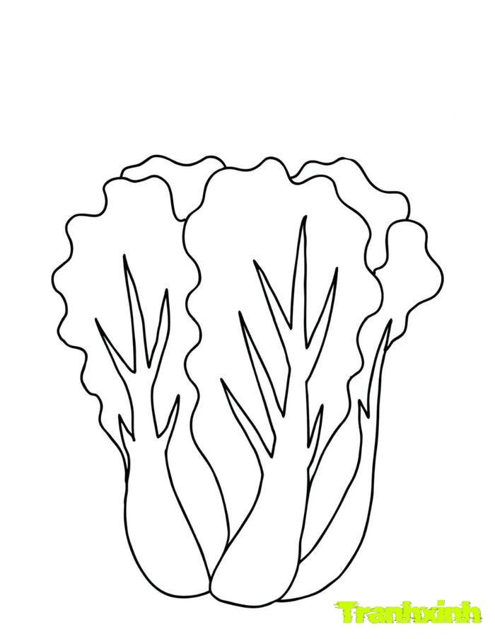 tranh tô màu các nhóm thực phẩm cho bé 21