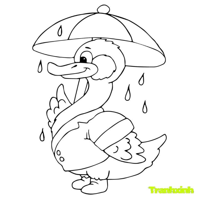 tranh tô màu cảnh trời mưa chú vịt