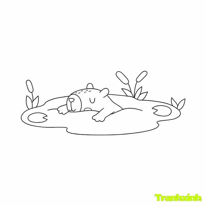 tranh tô màu capybara cute đi bơi