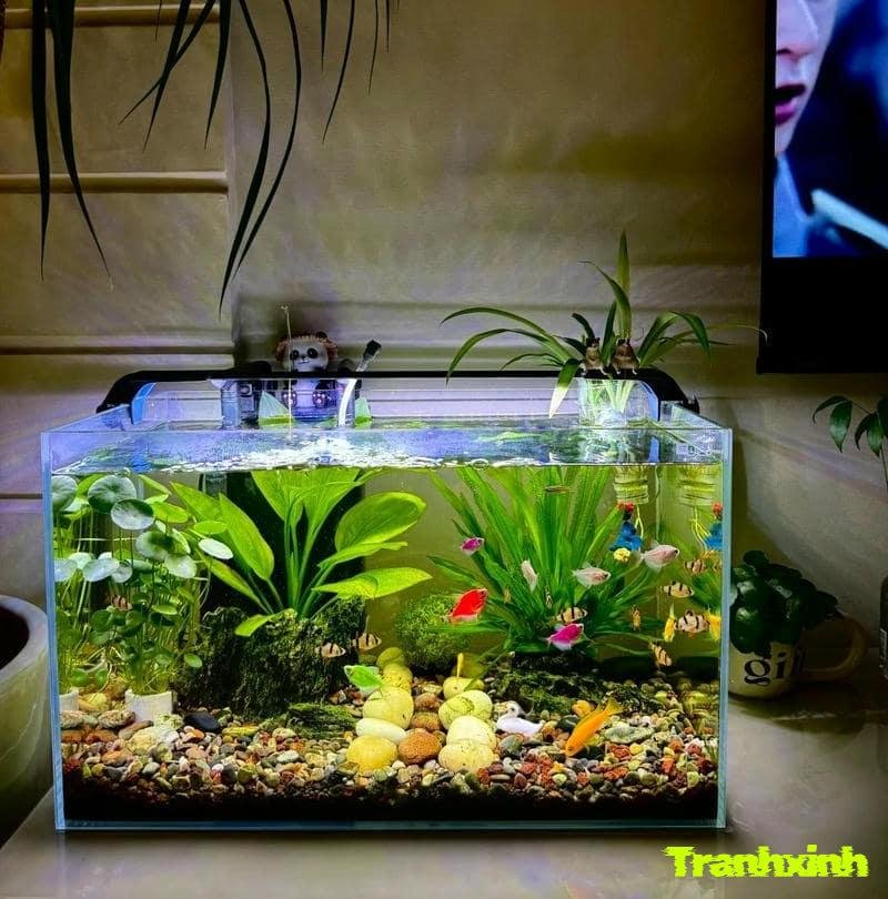 2mô hình trang trí bể cá