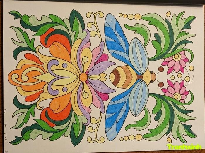 Trang trí hình chữ nhật decor nhẹ nhàng