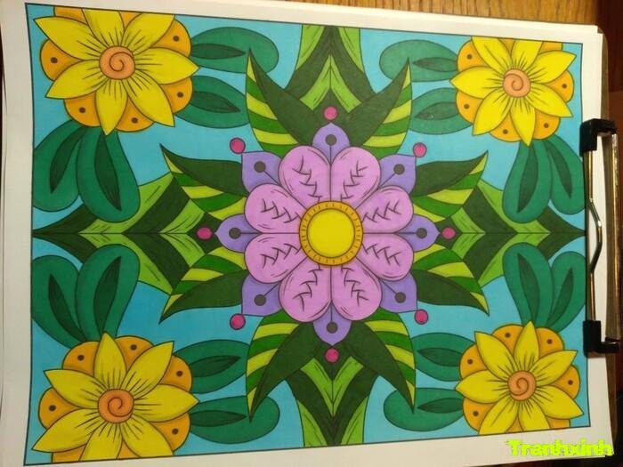 Trang trí hình chữ nhật thiết kế tinh xảo