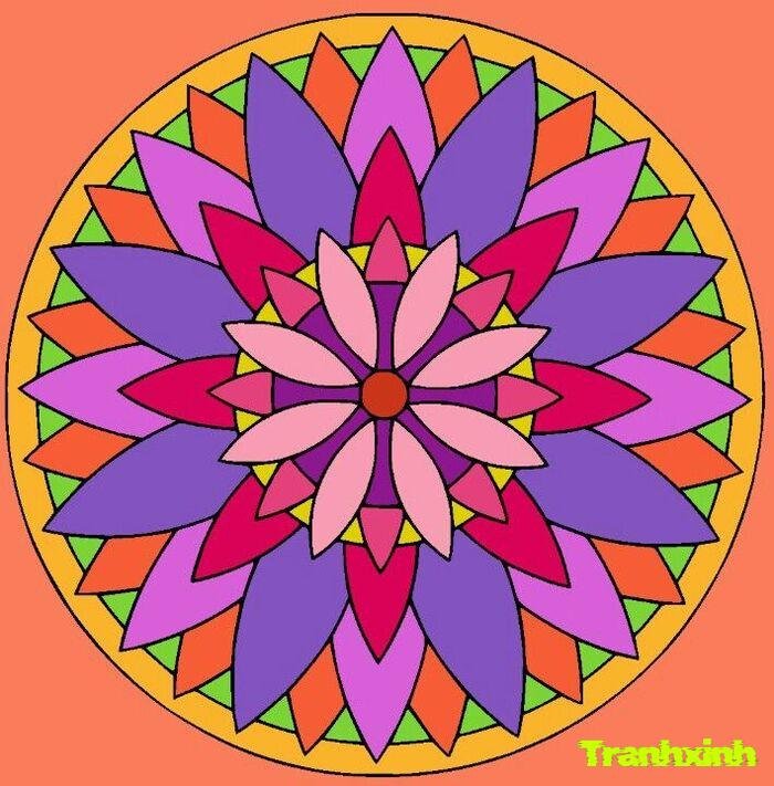 Trang trí hình tròn không gian mở