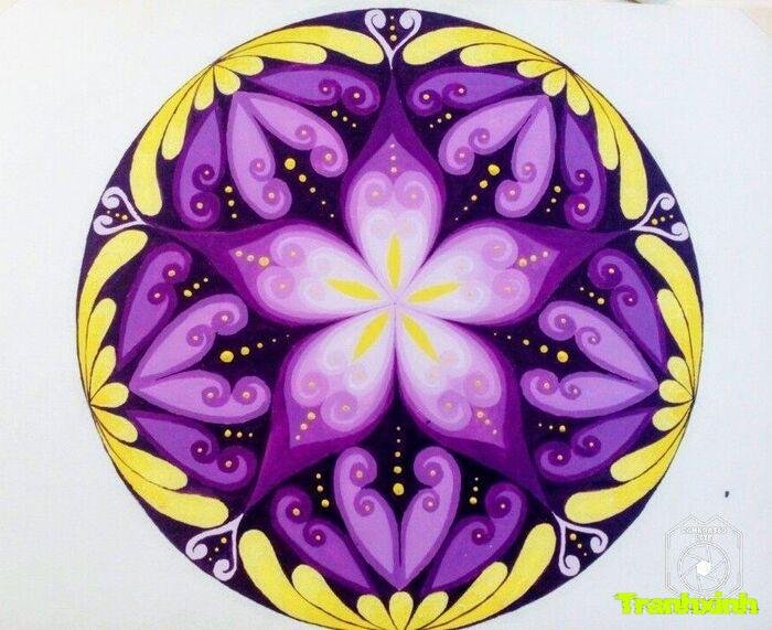 Trang trí hình tròn tối giản hiện đại