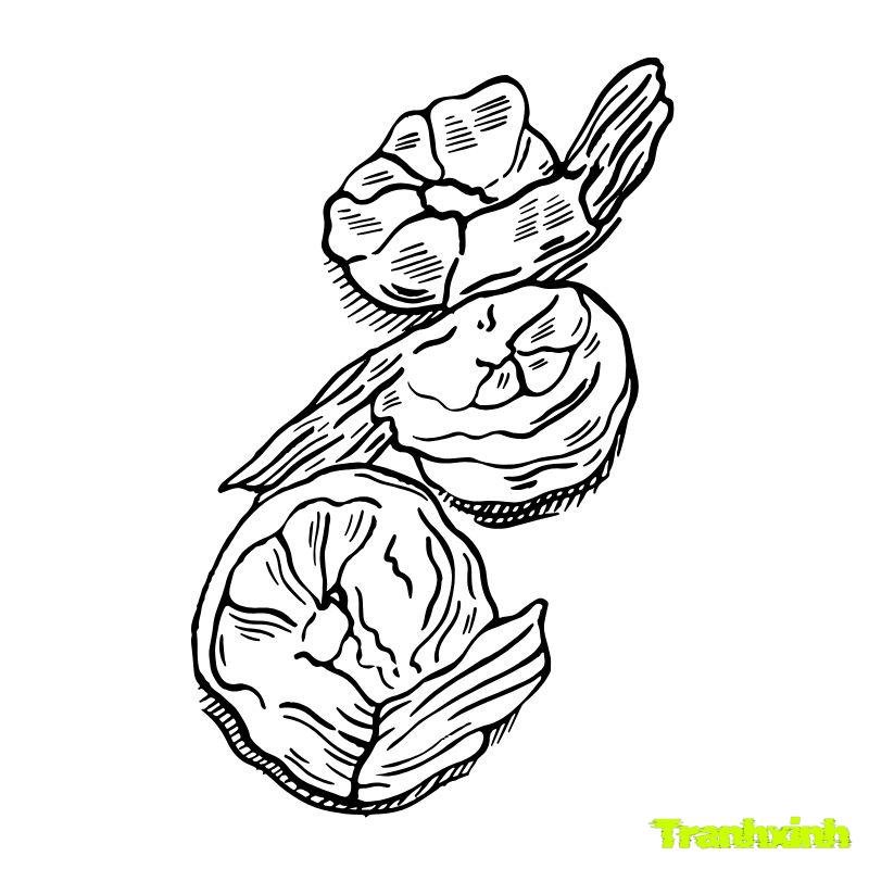 ảnh tôm tô màu