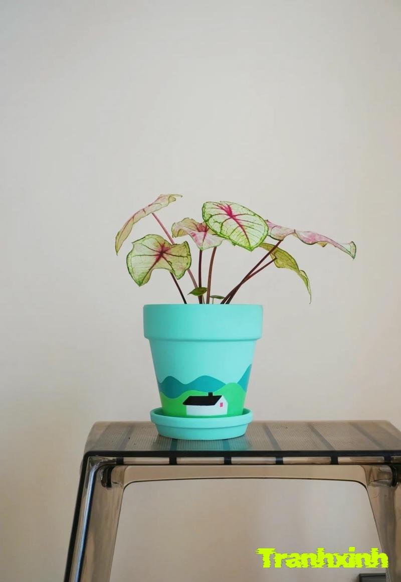 ảnh trang trí chậu cây