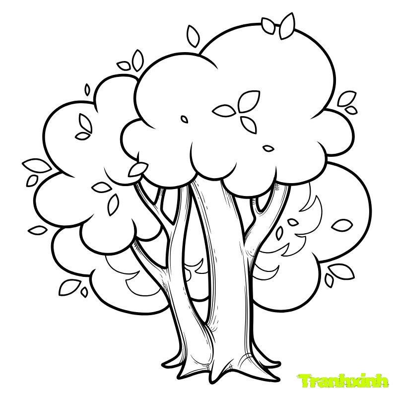 ảnh tranh tô màu cây xanh
