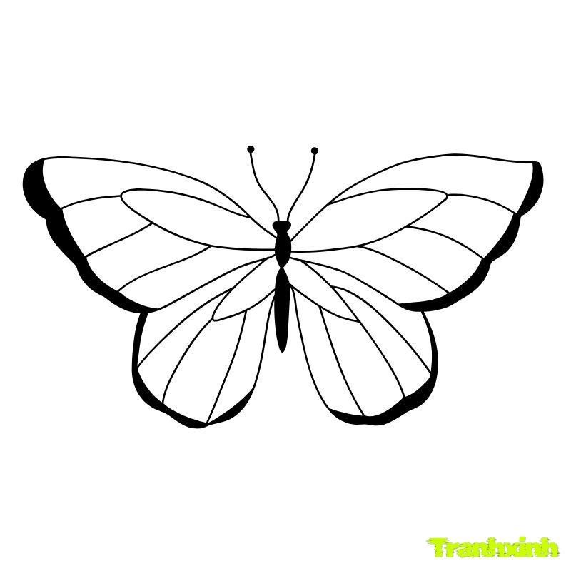 ảnh tranh tô màu con bướm