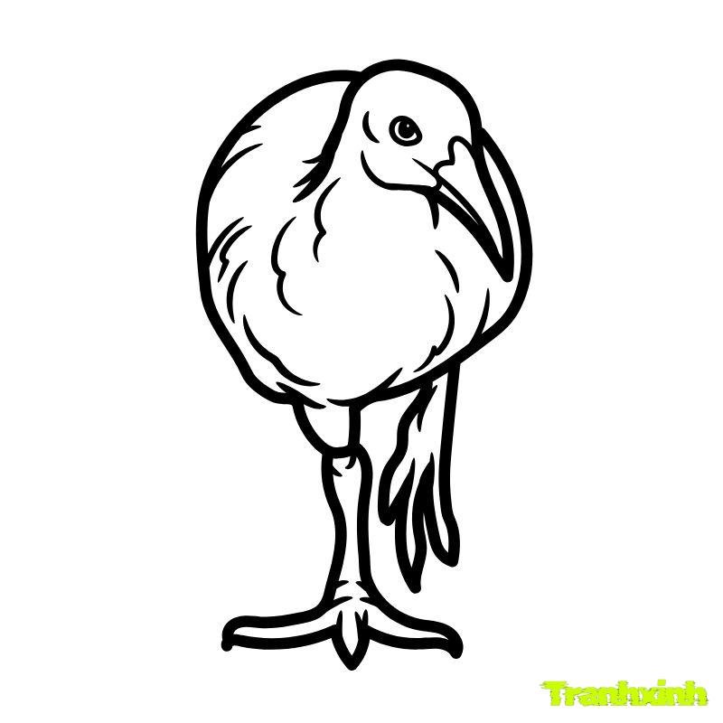 anh tranh tô màu con chim đẹp