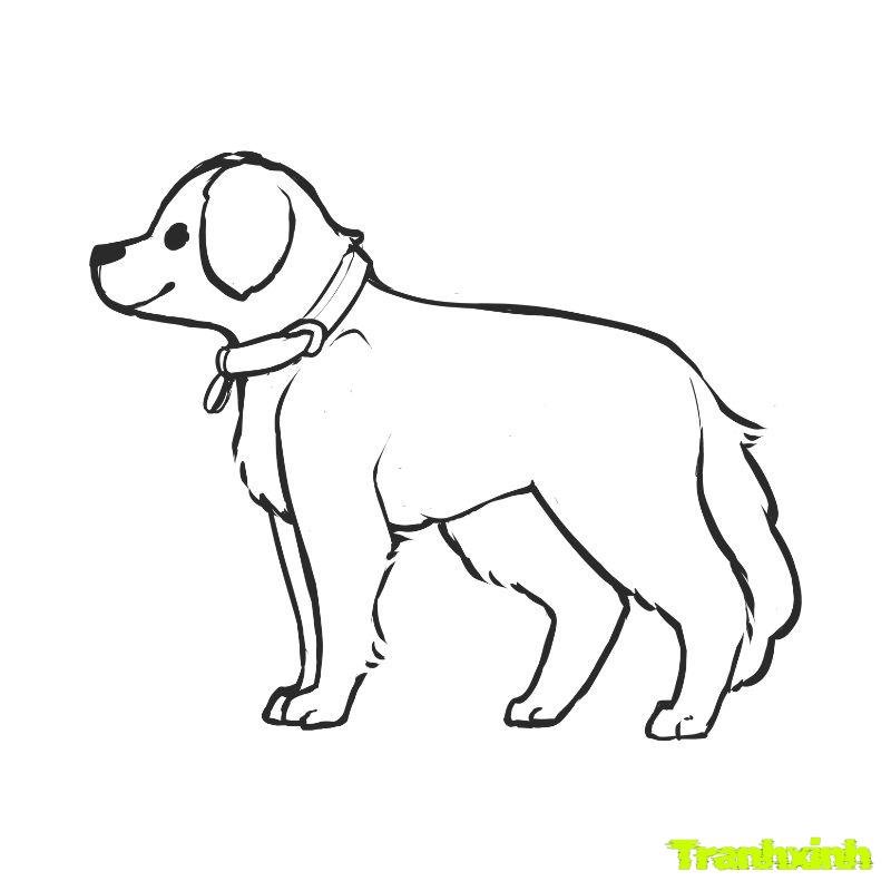 ảnh tranh tô màu con chó