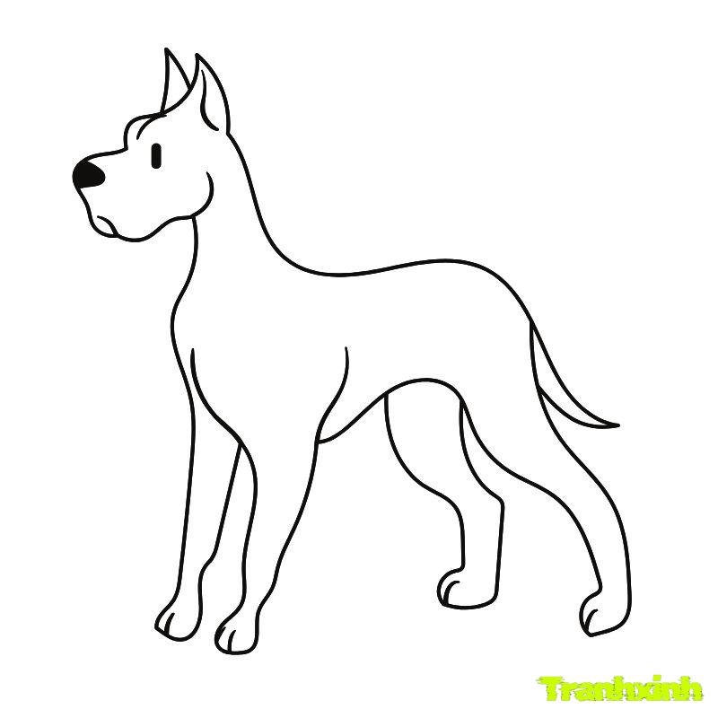 anh tranh tô màu con chó