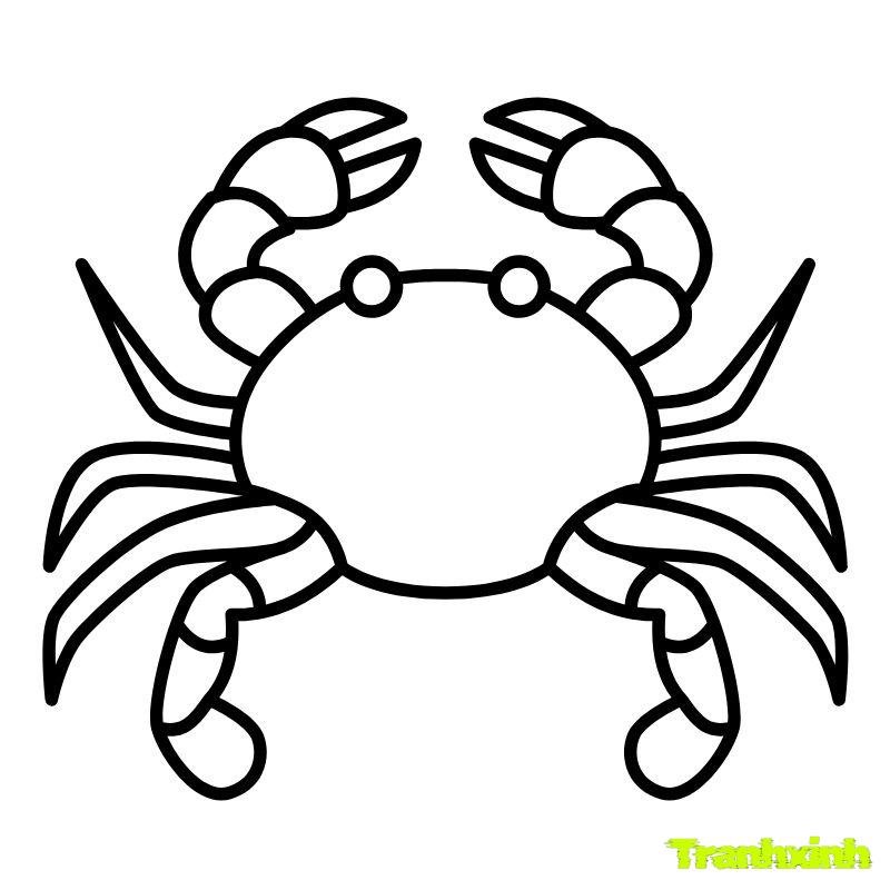 ảnh tranh tô màu con cua