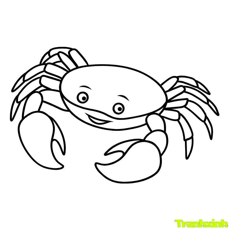 anh tranh tô màu con cua