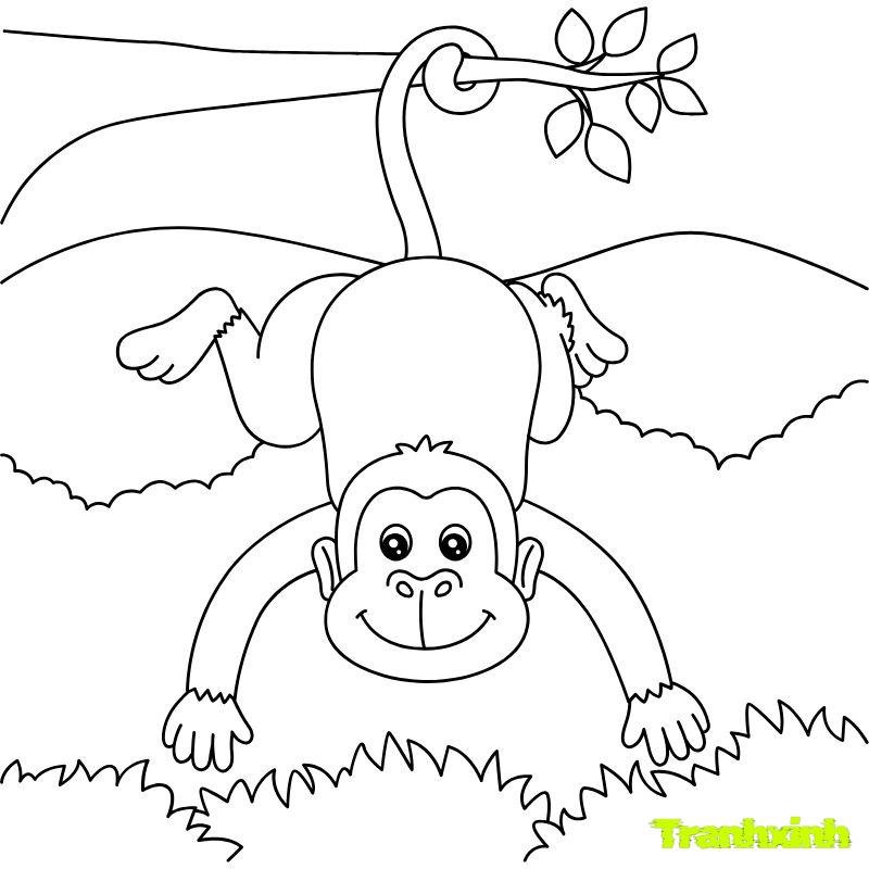 ảnh tranh tô màu con khỉ full hd