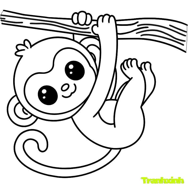 anh tranh tô màu con khỉ hd
