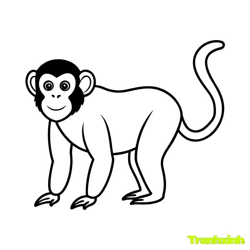 anh tranh tô màu con khỉ
