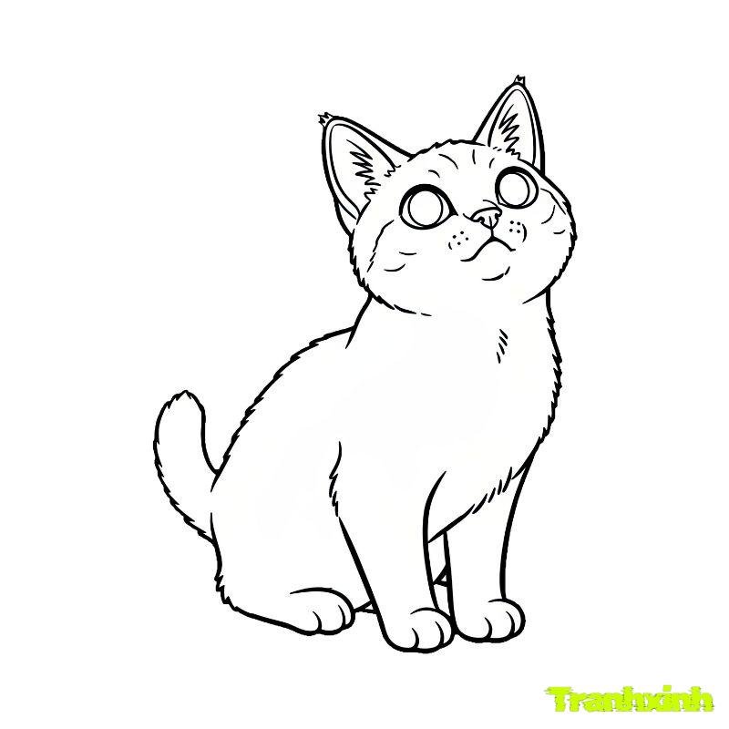 ảnh tranh tô màu con mèo