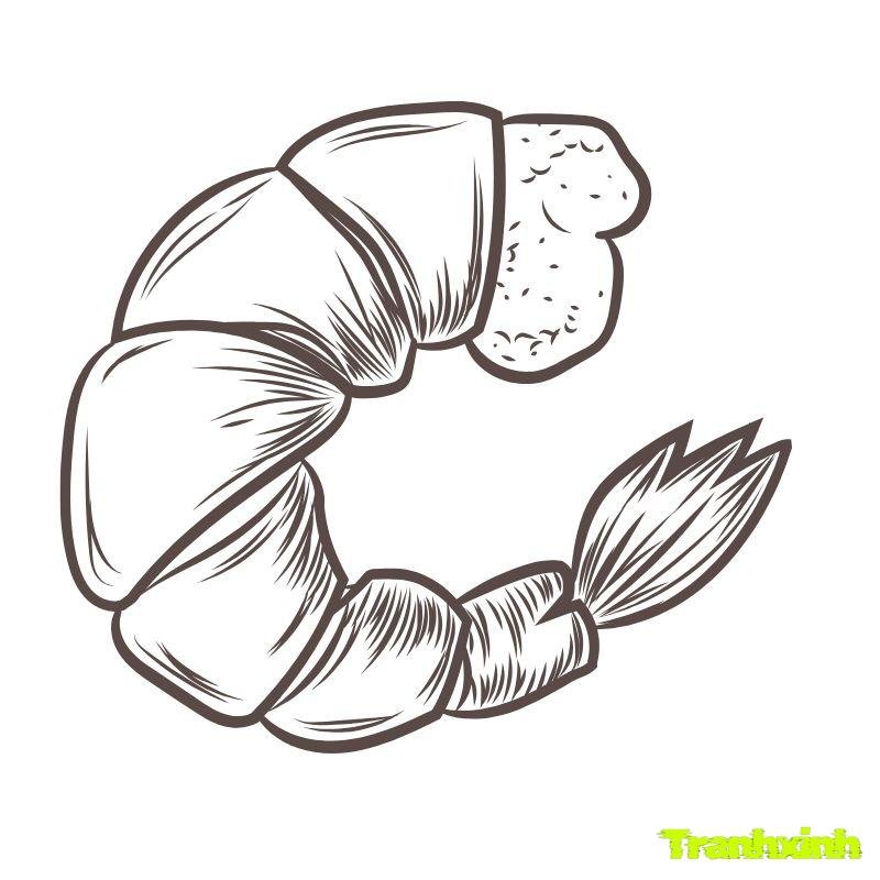 anh tranh tô màu con tôm