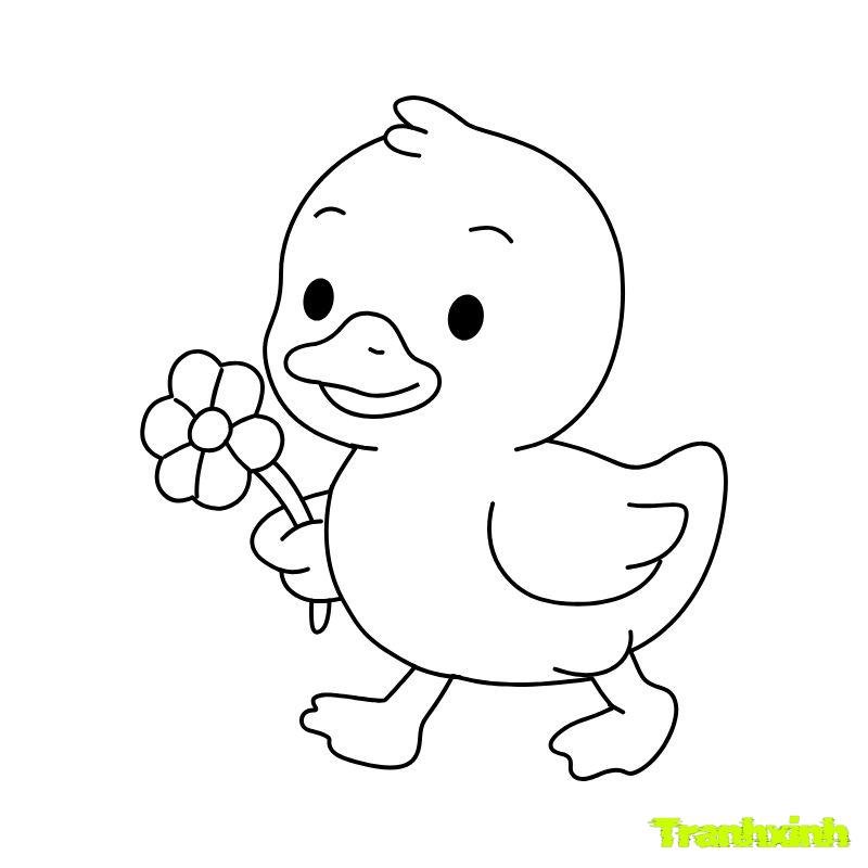 ảnh tranh tô màu con vịt