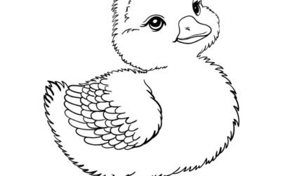 anh tranh tô màu con vịt