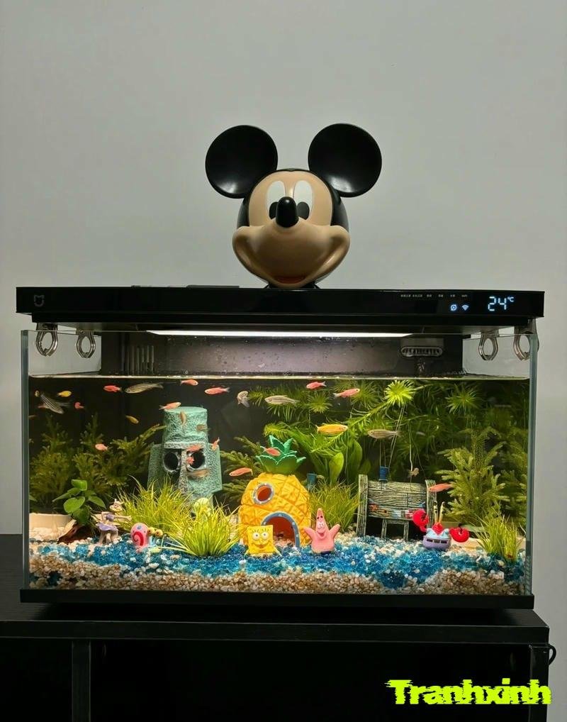 bể cá đẹp