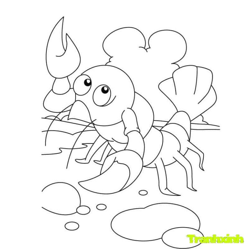 be stoo amuf con tôm