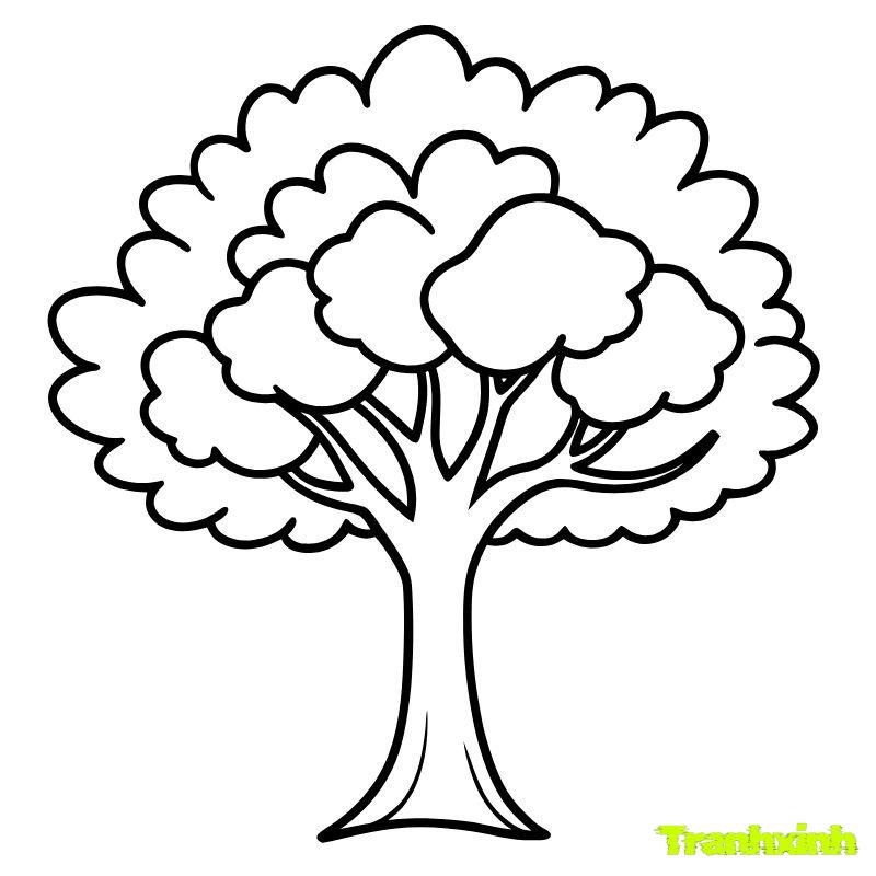 bé tô màu cây xanh