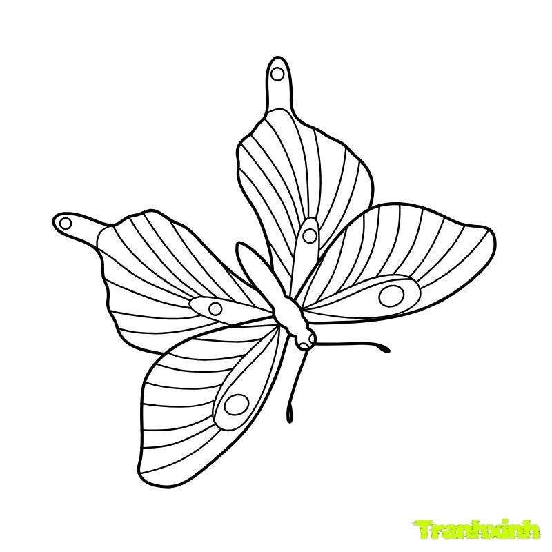 bướm tô màu