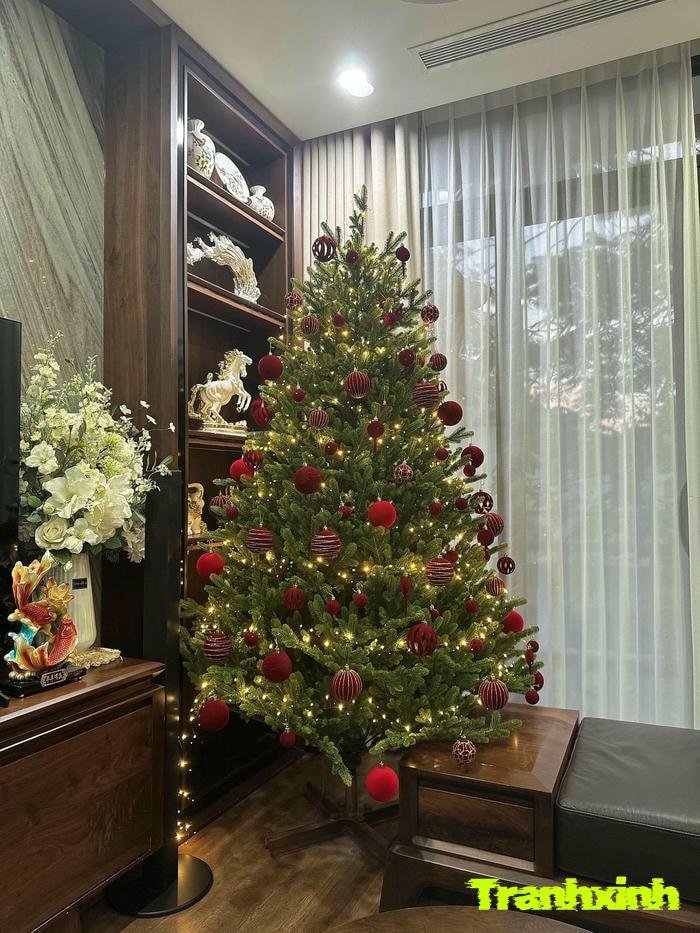 cách làm cây thông noel