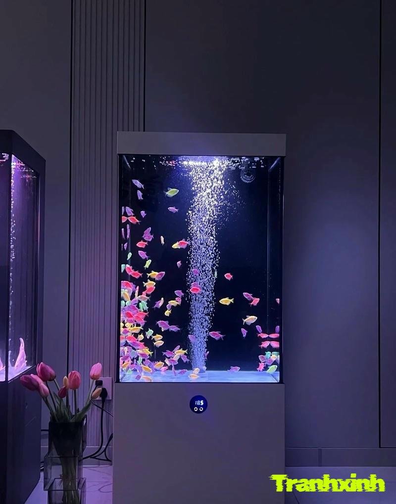 cách trang trí bể cá mini đẹp