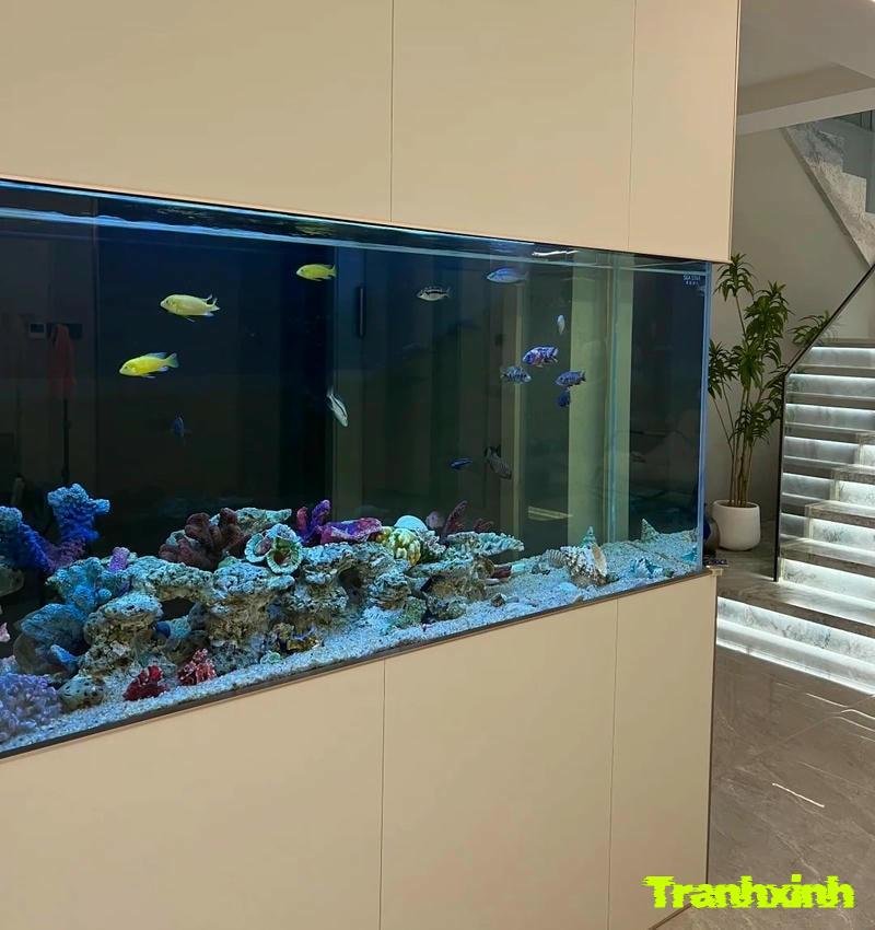 cách trang trí bể cá