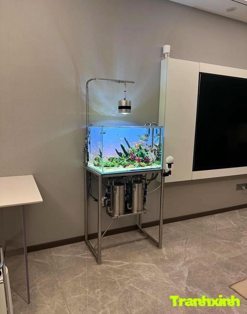 cách trang trí hồ cá