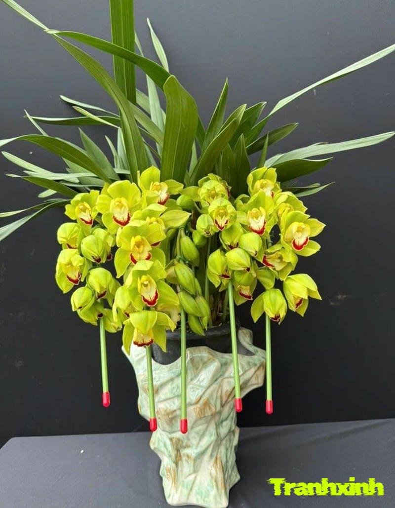 cây giả trang trí