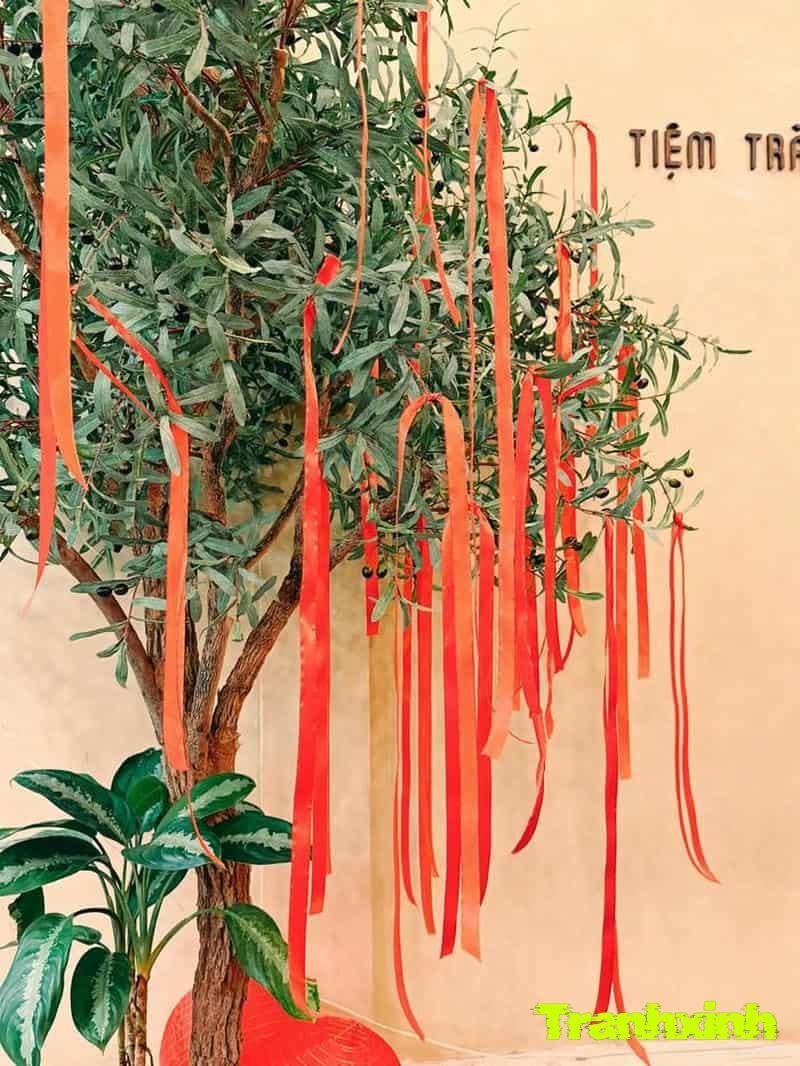 cây khô trang trí tết